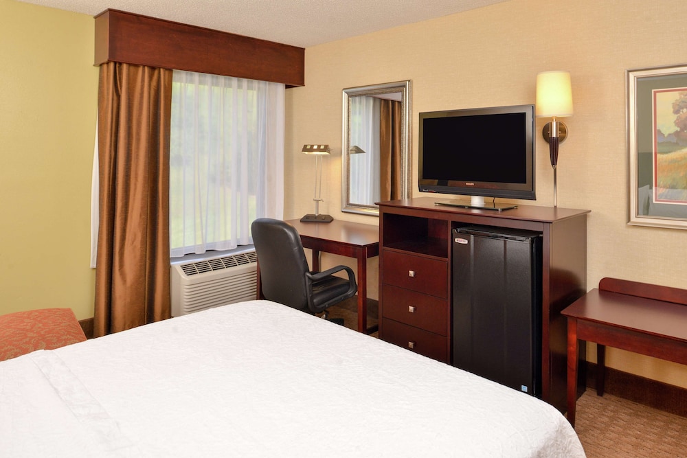 Hampton Inn Staunton - photo 15