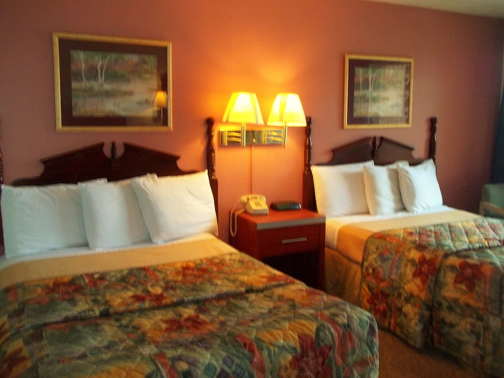 Royal Motel - photo 5