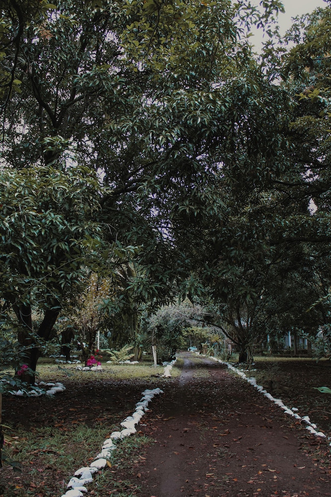 Mango Selva Bio Hotel - carbon neutral hotel in Actopan