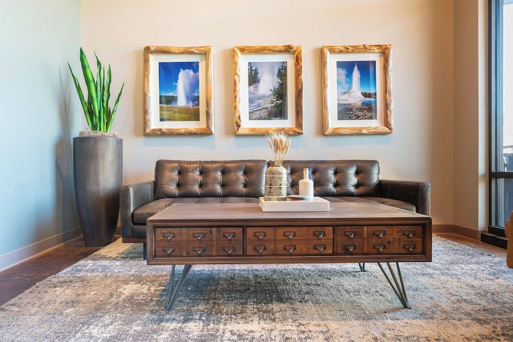 SpringHill Suites by Marriott Island Park Yellowstone - photo 54