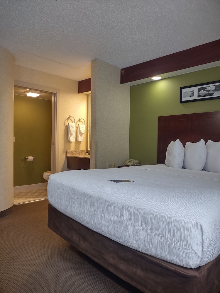 Baymont by Wyndham Flat Rock - photo 12