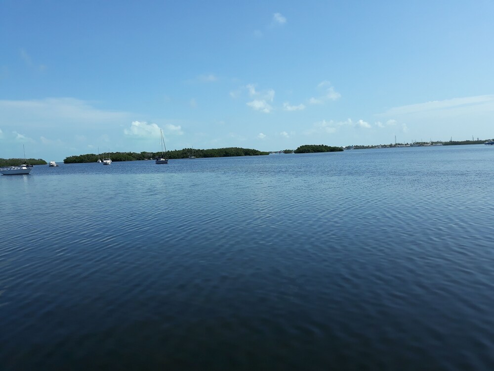 Mangrove Marina and Resort Aqualodge Houseboats - photo 132