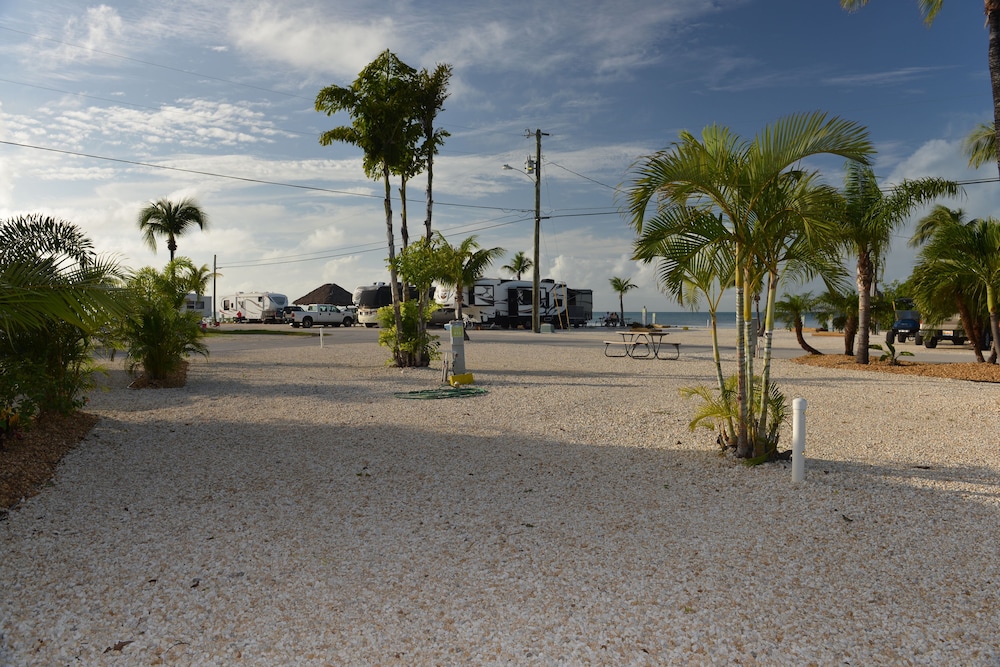 Fiesta Key RV Resort - photo 7
