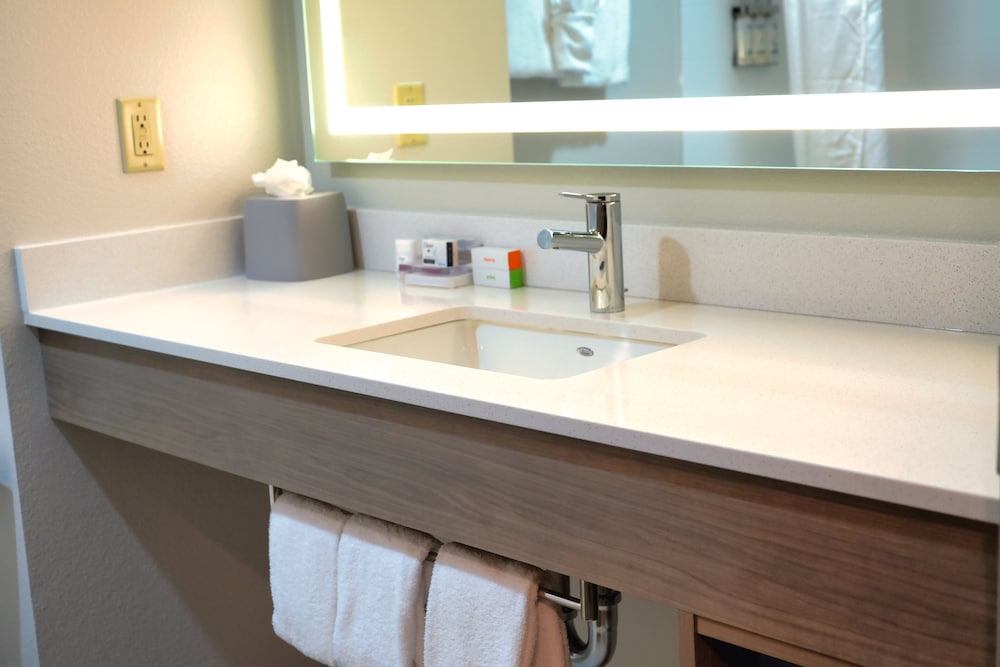 Holiday Inn Express Hotel & Suites Tampa Northwest Oldsmar by IHG - photo 24
