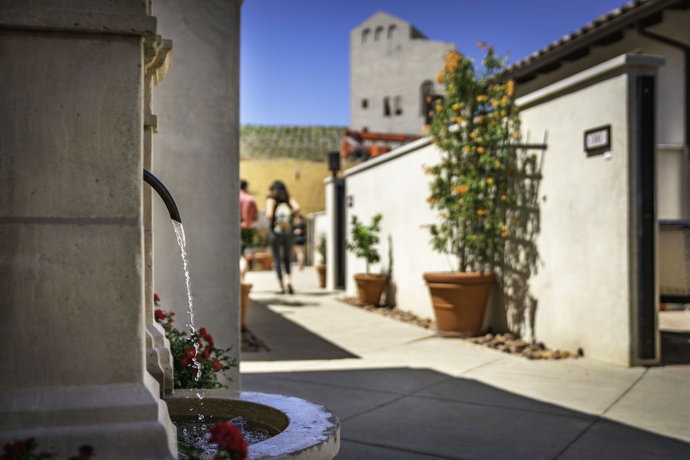 The Inn at Europa Village - photo 77