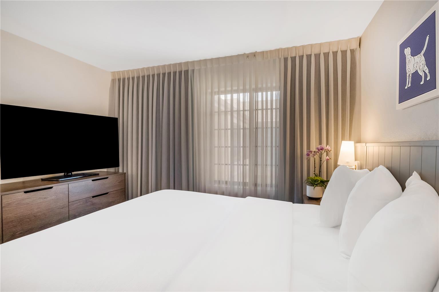Sonesta ES Suites Anaheim Resort Area - photo 14
