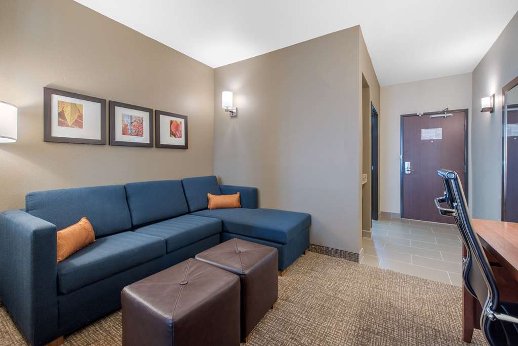 Comfort Suites Denver International Airport - photo 17