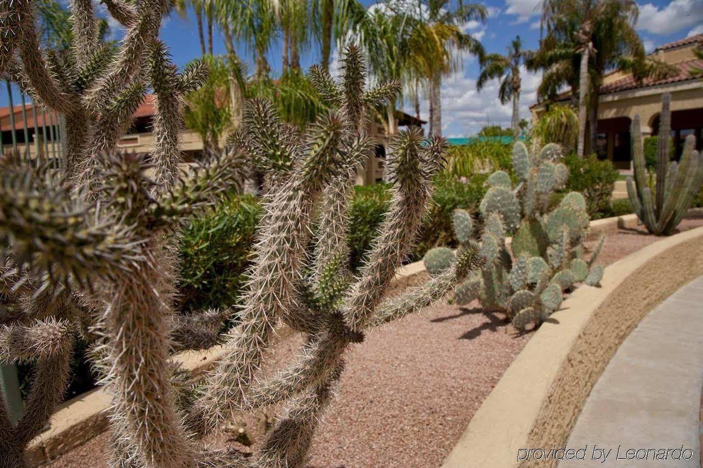 Embassy Suites Phoenix North - photo 26