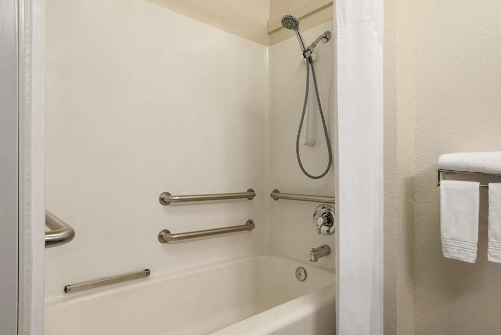 Baymont Inn & Suites by Wyndham Swanton Toledo Airport - photo 19