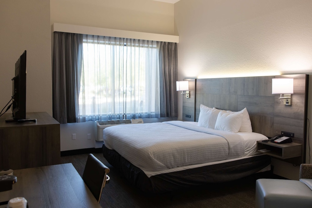 Best Western Plus Executive Residency Phoenix North Happy Valley - photo 27
