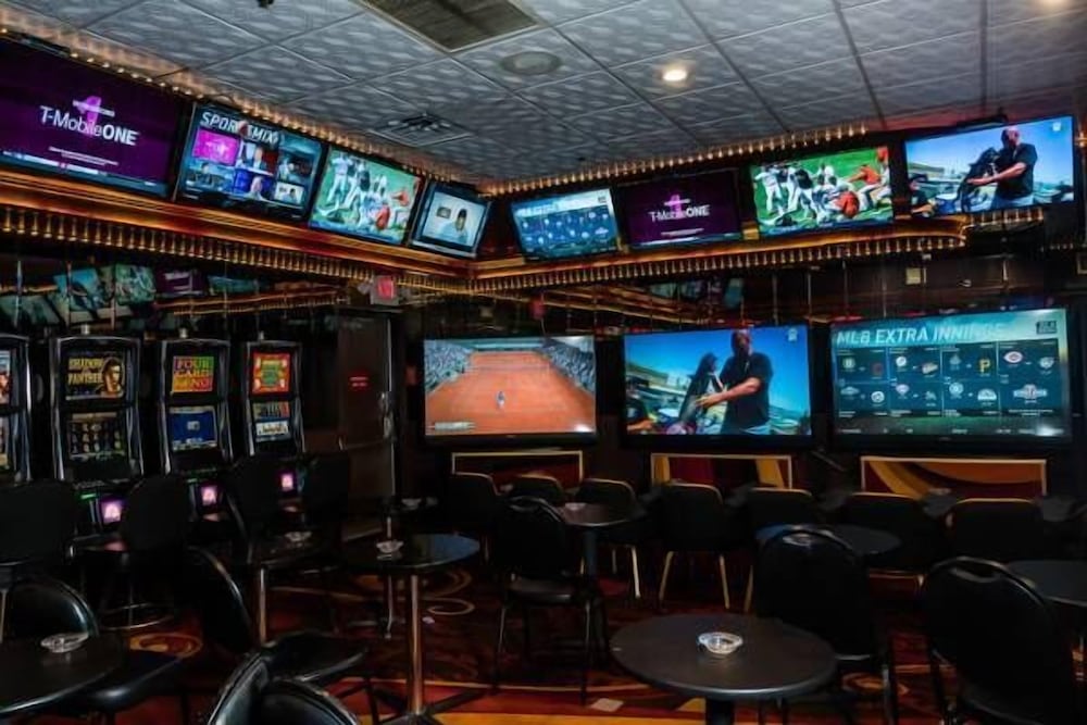 Skyline Hotel & Casino - photo 25