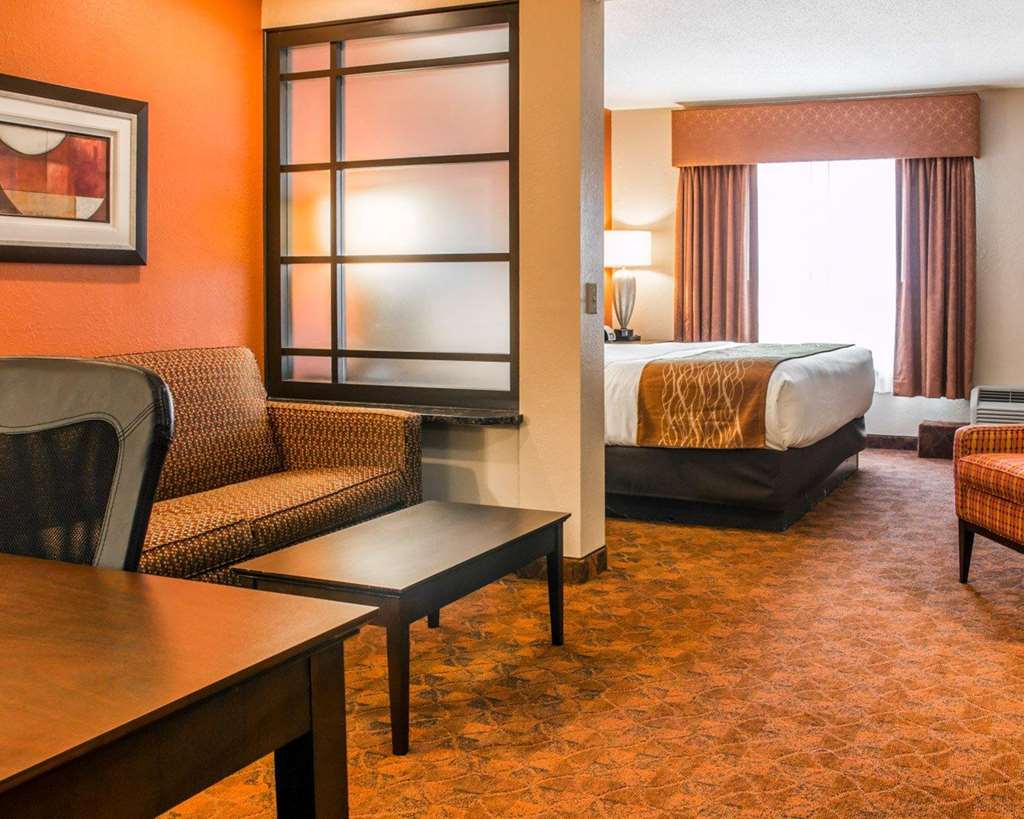 Comfort Inn & Suites and Conference Center - photo 20