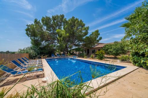 Ideal Property Mallorca Can Ribas — Can Picafort — photo 3