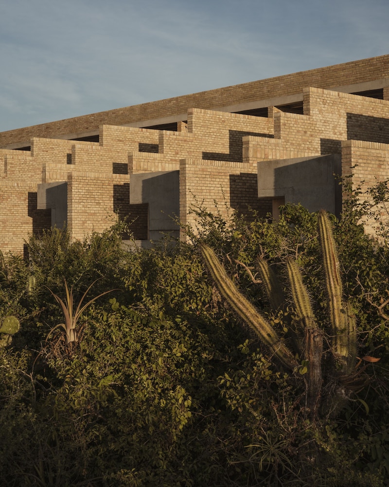 Primary image