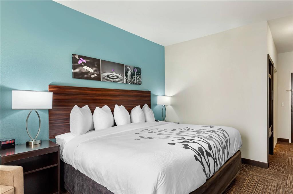 Sleep Inn Lancaster Dallas South - photo 8