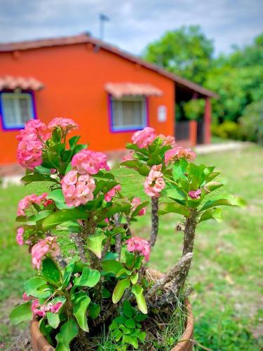 Finca el Paraíso - last minute hotel in San Gil