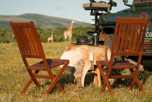 Temba Private Game Reserve in Grahamstown, South Africa