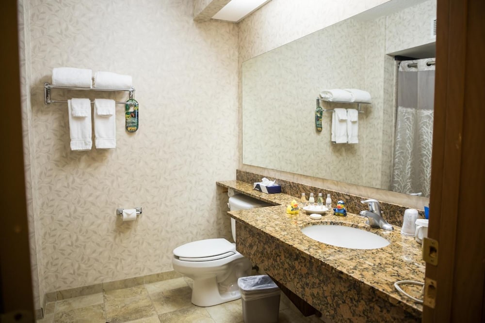 Mineral Palace Hotel & Casino - photo 23