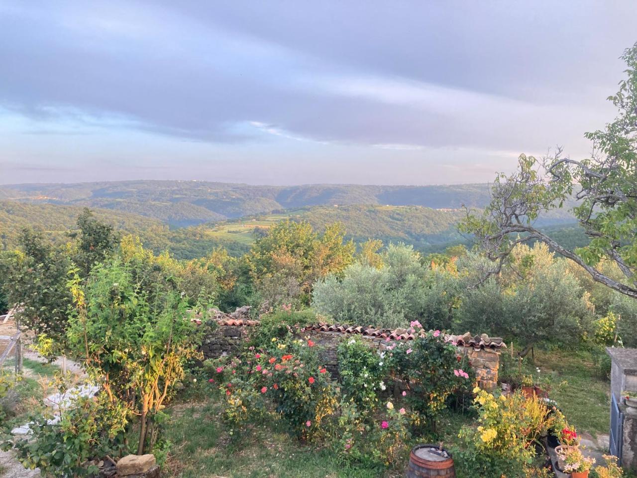 Norbin in Koper, Slovenia