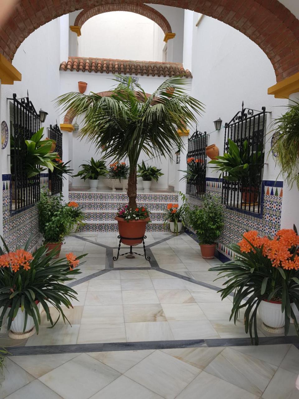 Apartamentos Los Arcos — 4-Star Luxury Hotel in El Bosque, Spain