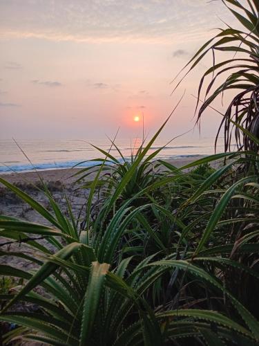 Black Forest Beach Resort - last minute hotel in Unknown City