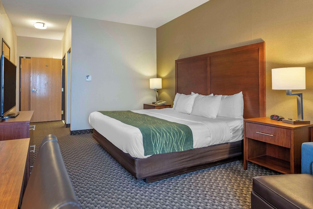 Comfort Inn Charlotte - photo 6
