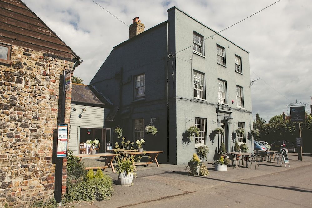 Blue Pigeons in Deal, United Kingdom