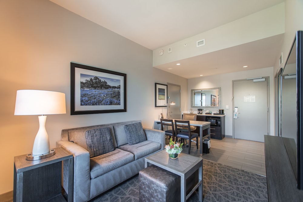 Embassy Suites by Hilton The Woodlands at Hughes Landing - photo 15