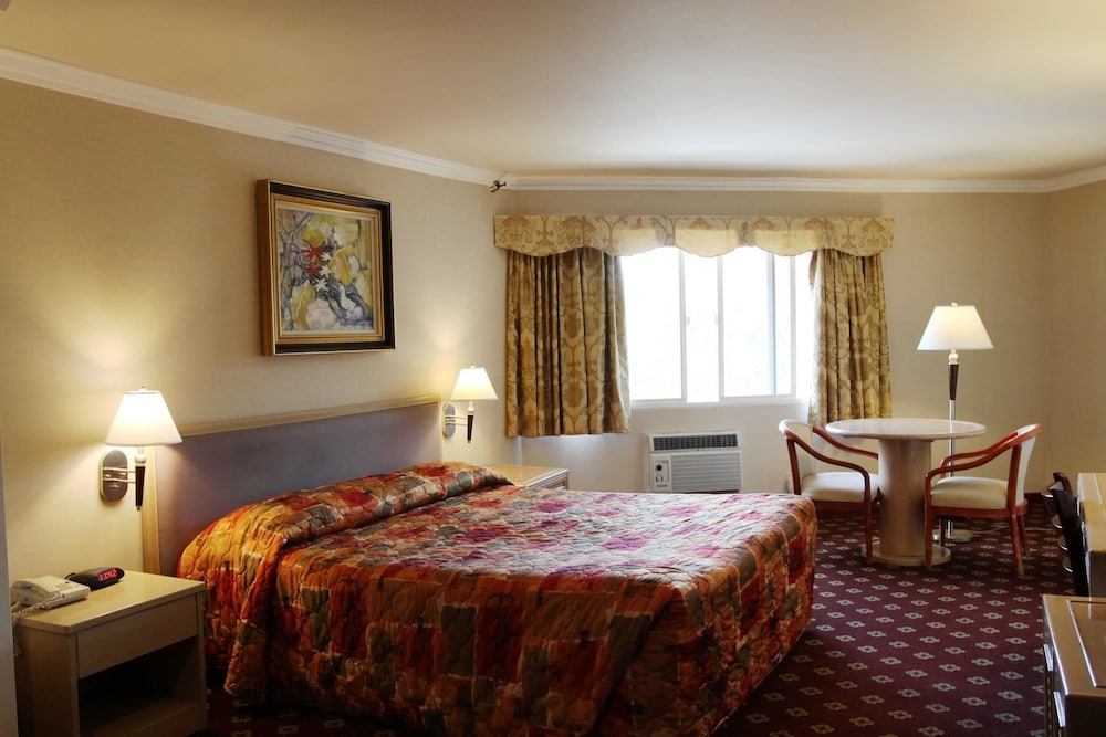 Metro Plaza Hotel - photo 9