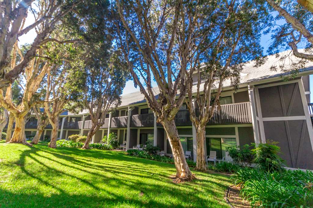 Carlsbad By The Sea Hotel - photo 16