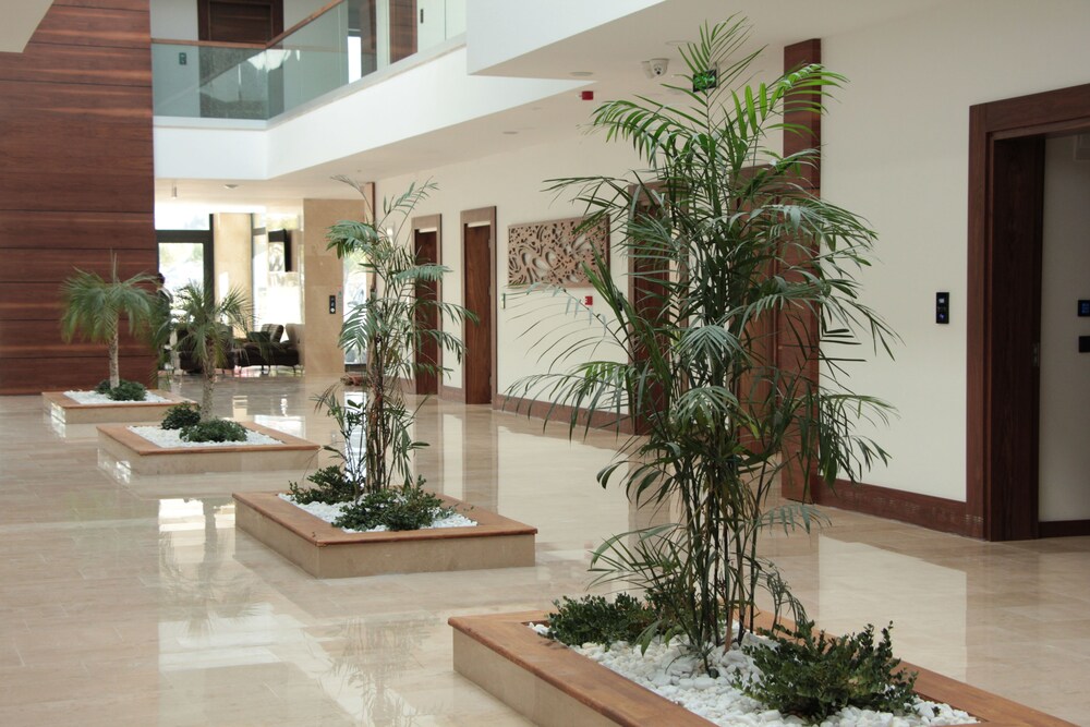Carissa Hotel — Mugla — photo 2