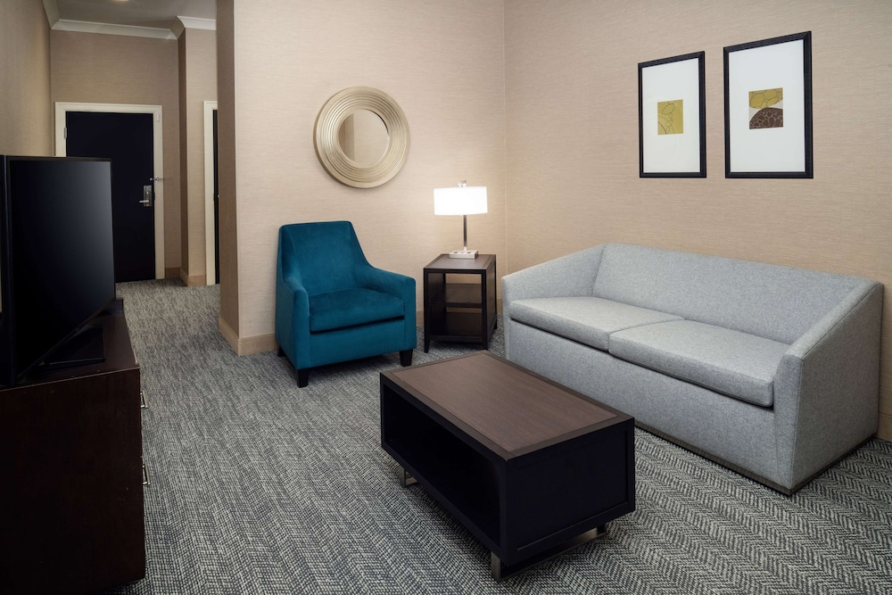 Embassy Suites by Hilton St. Louis Downtown - photo 18