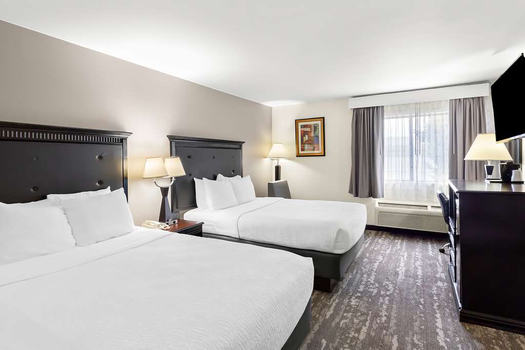Best Western Saluki Inn - photo 25