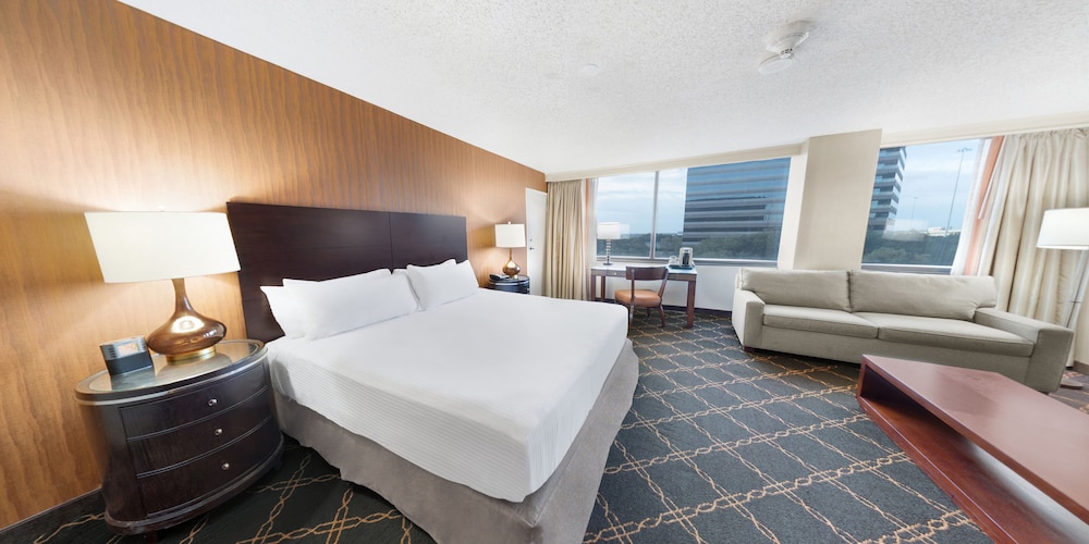 Austin Southpark Hotel - photo 11