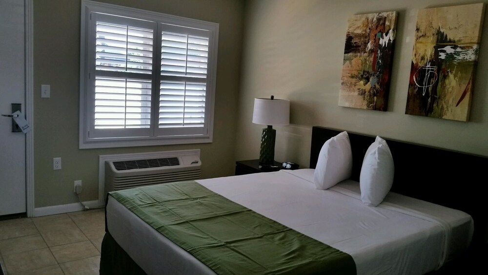 The Local St. Augustine - photo 8