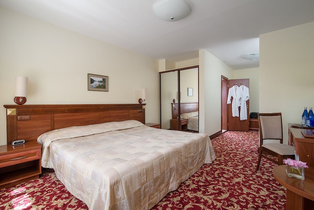 Hotel Violeta — Druskininkai — photo 4