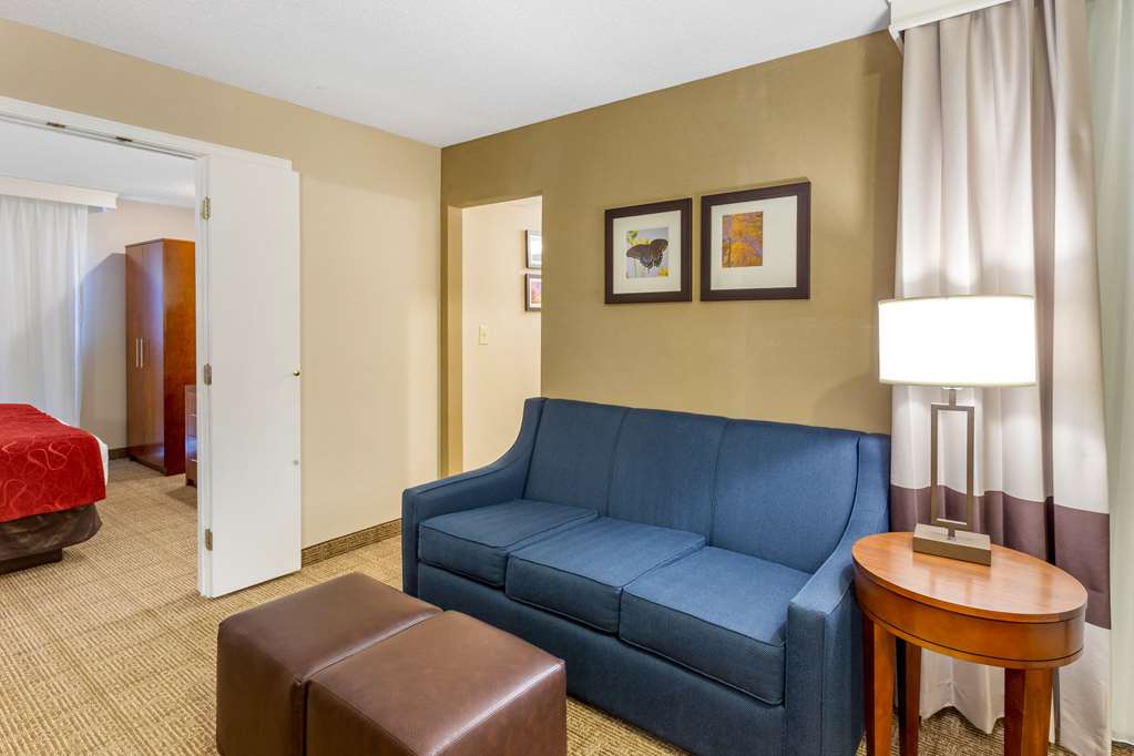 Comfort Suites Oakbrook Terrace near Oakbrook Center - photo 7