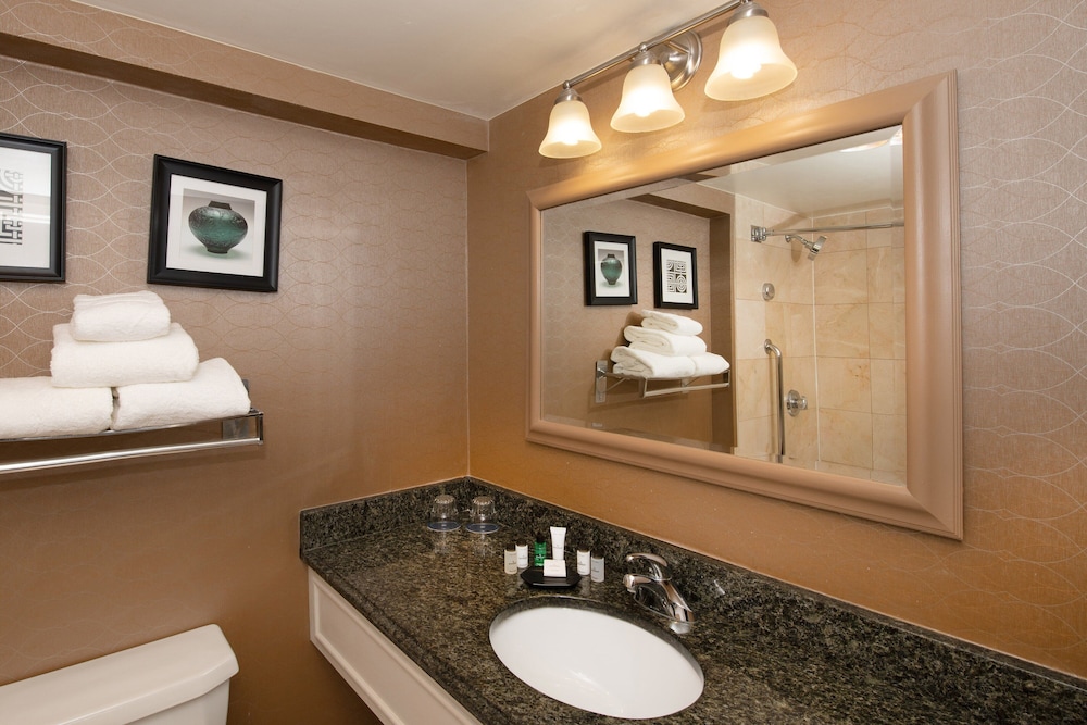 Sheraton Hartford South Hotel - photo 23
