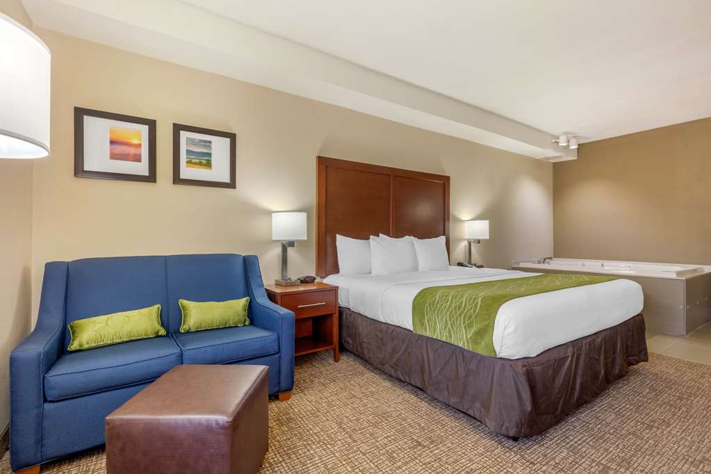Comfort Inn Lenoir City Knoxville - photo 18
