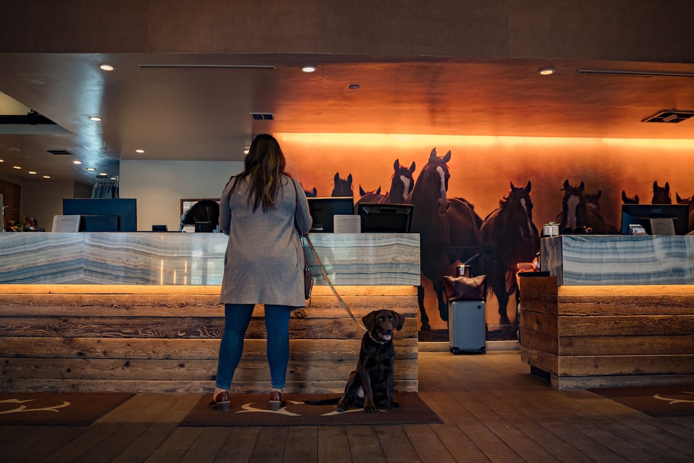 Snow King Resort Hotel & Luxury Residences - photo 3