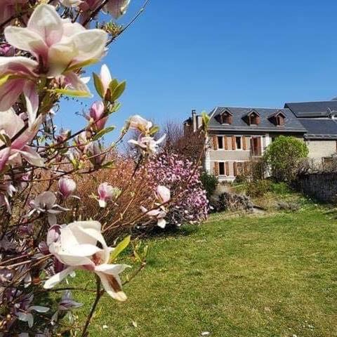 ''Mon Chez Moi'' - carbon neutral hotel in Unknown City