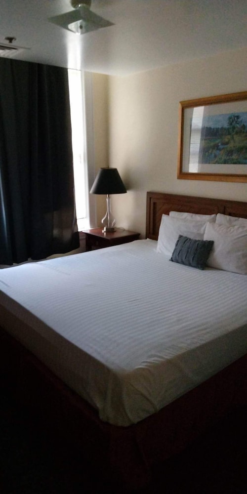 McLure Inn and Suites - photo 3