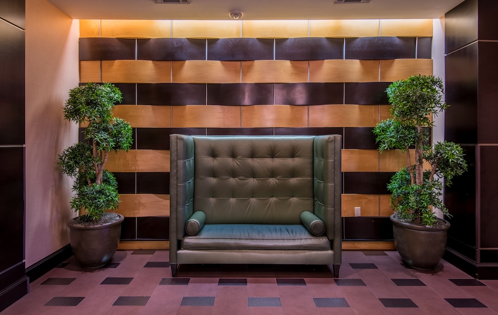 Staybridge Suites DFW Airport North by IHG - photo 58