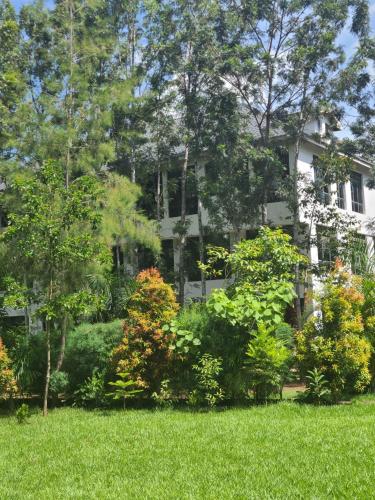 The Loch Hotel Bondo — Bondo — photo 4