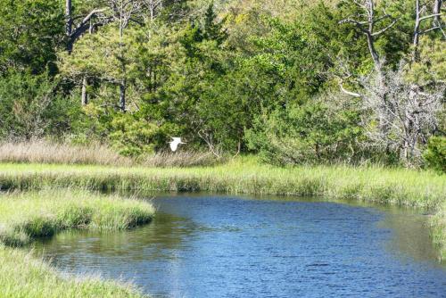 Lay Z Days by Oak Island Accommodations - photo 12