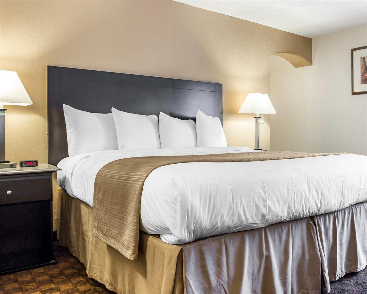 Quality Inn & Suites Coliseum - photo 18