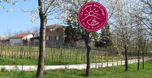 B&BLa collina dei ciliegi — 4-Star Luxury Hotel in Cassano Spinola, Italy