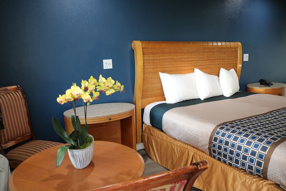 Valli Hi Motel - photo 9