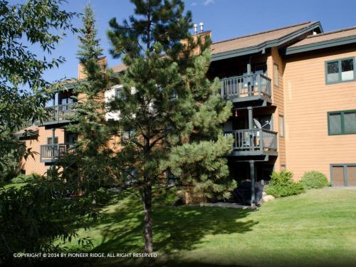 The Pines - photo 20
