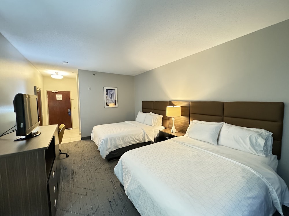 Holiday Inn Express Hotel & Suites St. Paul Woodbury by IHG - photo 28